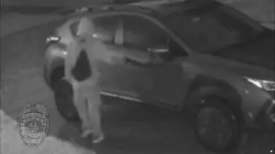 Man caught on camera checking car, house doors in Miami Springs; neighbor says firearm stolen