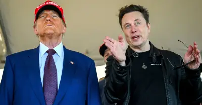 War’ Declared on Trump, Musk, and Tesla Owners—Is the U.S. Facing a New Threat?