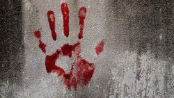 Massachusetts Horror: Man Allegedly Kills Ill Mother During Sleep-Deprived Rampage